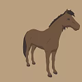 Brown Horse With Black Mane And Tail In Standing Posture On Brown Background