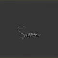 Detailed Dark Beetle With Long Antennae And White Spots On Reflective Background