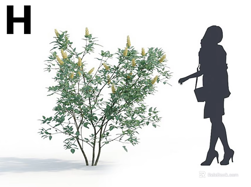 Green Shrub With Yellow Flowers And Silhouette Of A Woman Touching It With Letter H 3d model 