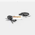 Two Black Reptiles Crawling On White Background With Shiny Scales 3d model