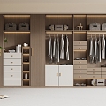 Modern Wardrobe Modern Light Luxury Wardrobe Modern Bedroom Wardrobe Cloakroom Wardrobe Finished Wardrobe 3d model