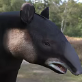 Black Reptile With Long Snout Standing In Grassland Near Forest Trees