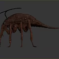 Red Arachnid Creature With Long Antennae Many Slender Legs And Oval Body