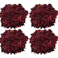 Four Dark Red Shrubs with Dense Vibrant Rounded Foliage for Landscaping