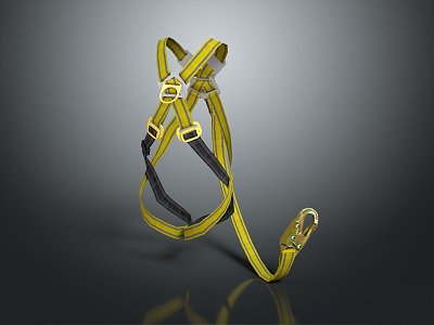 Strap Braided Strap Life Supplies 3d model