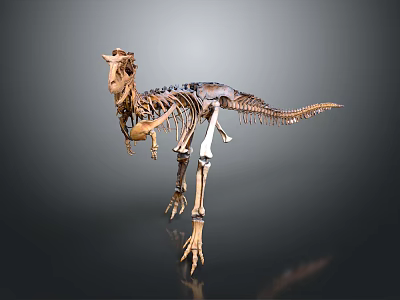 Detailed Prehistoric Dinosaur Skeleton Standing With Lifelike Stance In Scientific Museum Exhibit 3d model
