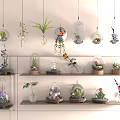Indoor Decorative Display Of Hanging Glass Terrariums With Succulents And Flowers On Wooden Shelves