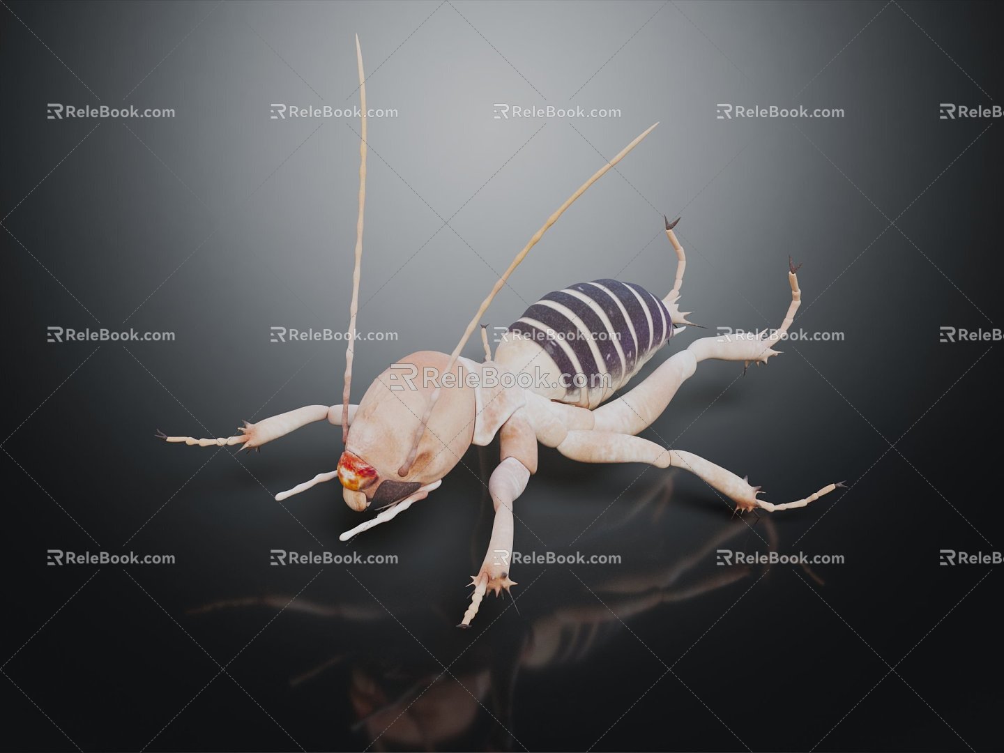 Modern sand katyds crickets crickets insects animals game animals 3d model