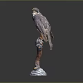 Falcon Sculpture Perched On Person's Arm With White Base And Gray Background