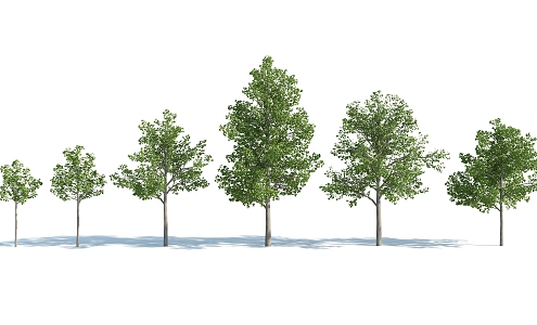 The Modern Tree 3d model