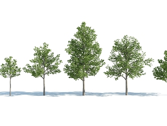 The Modern Tree 3d model