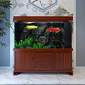 New Chinese Fish Tank 3d model