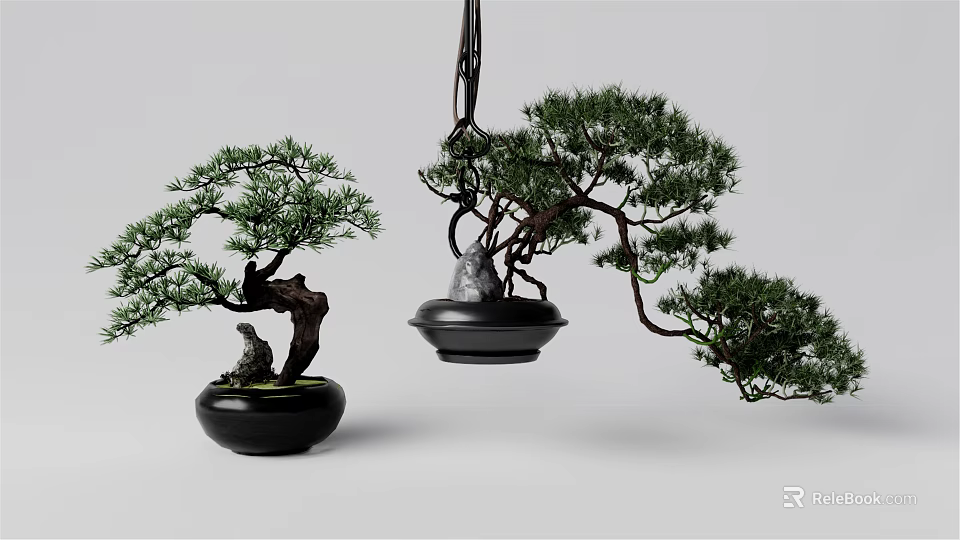 Decorative Bonsai Plants In Black Pots With Hanging And Potted Design 3d model 