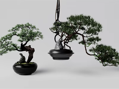 Decorative Bonsai Plants In Black Pots With Hanging And Potted Design 3d model