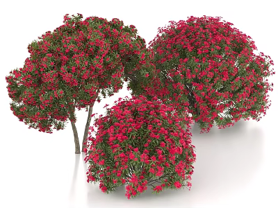 Three Lush Flowering Shrubs With Vibrant Red Blooms And Green Foliage 3d model