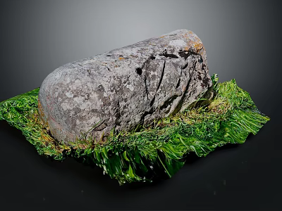 Large Rough Textured Natural Stone Placed on Fresh Green Grass Leaves 3d model
