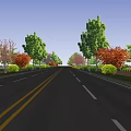 Wide Municipal Road With Yellow Double Lines And Colorful Trees Alongside