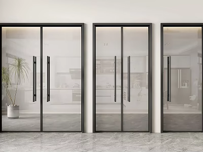 Modern Glass Double Doors With Black Frames In Interior Space Design 3d model