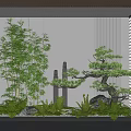 Serene Indoor Landscape Featuring Bamboo Pine Trees Rocks And Moss 3d model
