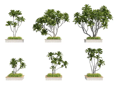 Tree Planter with Various Tree Species and Ornamental Border Plants 3d model
