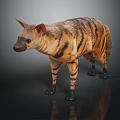 Striped Hyena With Brown And Black Fur Standing On Reflective Ground