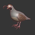 Modern cuckoo bird bird cartoon bird 3d model