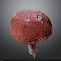 Vibrant Red Mushroom Plant with White Spots on Surface and Dark Background