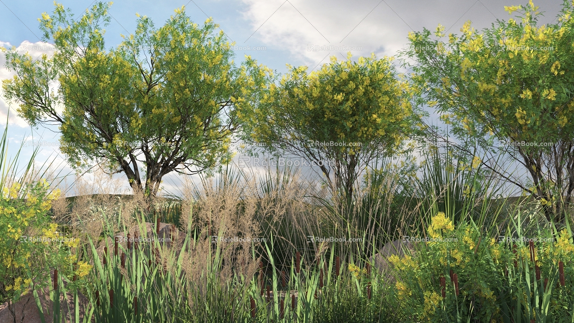 Modern Tree Plants 3d model