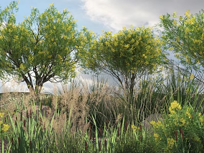 Lush Trees With Yellow Flowers Growing In Grassy Field And Stones Under Blue Sky 3d model