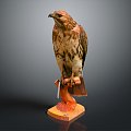 Modern Eagle Carving 3d model