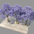 Three Purple Flowering Trees Planted On Stone Paved Platform With Dense Canopies