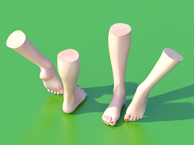 Manicure of Human Foot Model model