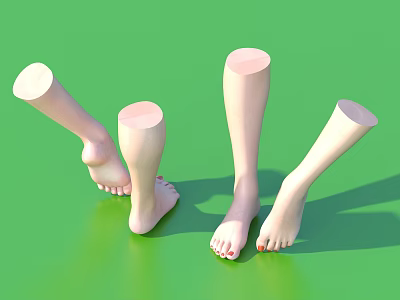 Manicure of Human Foot Model 3d model