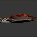 Turtle Cartoon Turtle Snapping Turtle Chickbill Turtle Reptile Cold Blooded Animal Reptile Class 3d model