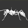 Detailed White Ant 3D Model On Dark Background With Reflection 3d model
