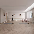 Modern Dance Studio With Yoga Mats Pink Exercise Balls And Wooden Floor