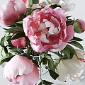 Pink And White Peonies In Transparent Glass Vase With Scattered Petals And Lotus Candles