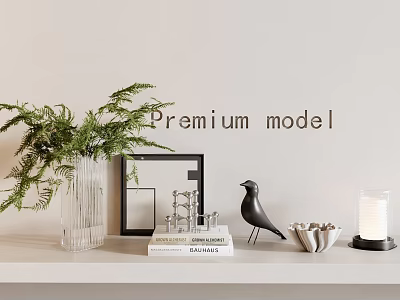 Decorative Ornaments With Glass Vase Green Fern Black Frame Bird Figurine On White Shelf 3d model