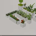 Various Bonsai Potted Plants With Different Foliage And Flowers In White Square And Rectangular Containers 3d model