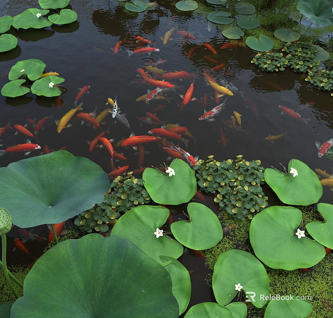 Ancient Architecture Garden Pond Featuring Colorful Koi Fish and Green Lotus Leaves 3d model 