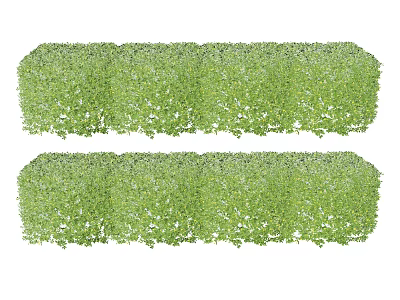 Well Trimmed Lush Green Hedges Arranged In Two Rows For Garden Landscaping 3d model