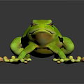 Green Tree Frog With Black Stripe Large Eyes And Suckers On Dark Surface