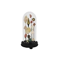Decorative Ornament Under Glass Dome With Colorful Seashells Starfish And Marine Elements