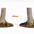 Natural Stone And Wood Tree Trunks With Exposed Roots In Natural Landscape