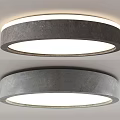 Modern Round Gray Ceiling Lights With Sleek Design And Even Illumination Double 3d model