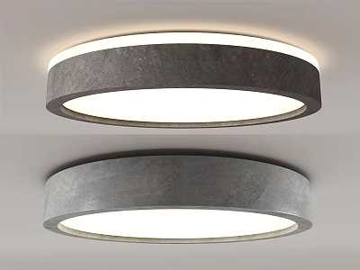 Modern Round Gray Ceiling Lights With Sleek Design And Even Illumination Double 3d model
