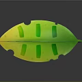 Green And Yellow Leaf Shaped Top Swing With Curved Frame And Hanging Seat