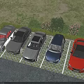 Various Colored Cars Parked in Outdoor Parking Area With Green Grass and Bushes
