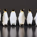 Black and white penguins standing in a line against dark background with ground reflections