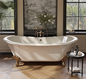 Vintage Bathtub 3d model